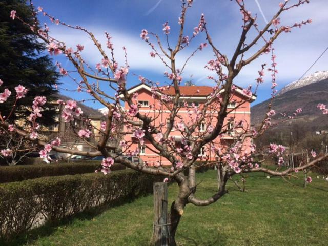 Apartament Al Borgo Di Sant'Orso - Cir 0342 Aosta Zewnętrze zdjęcie